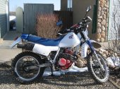 1986 Honda XL 350 R (reduced effect) photo